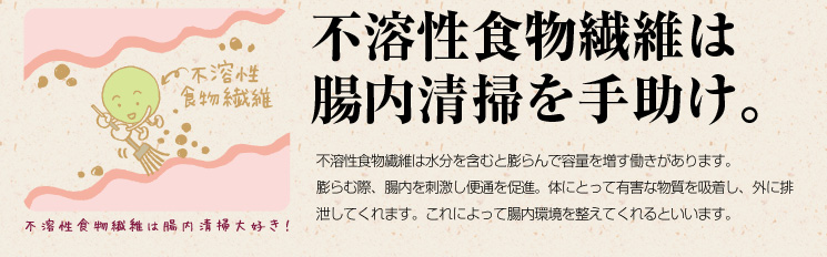 不溶性食物繊維は腸内清掃を手助け。