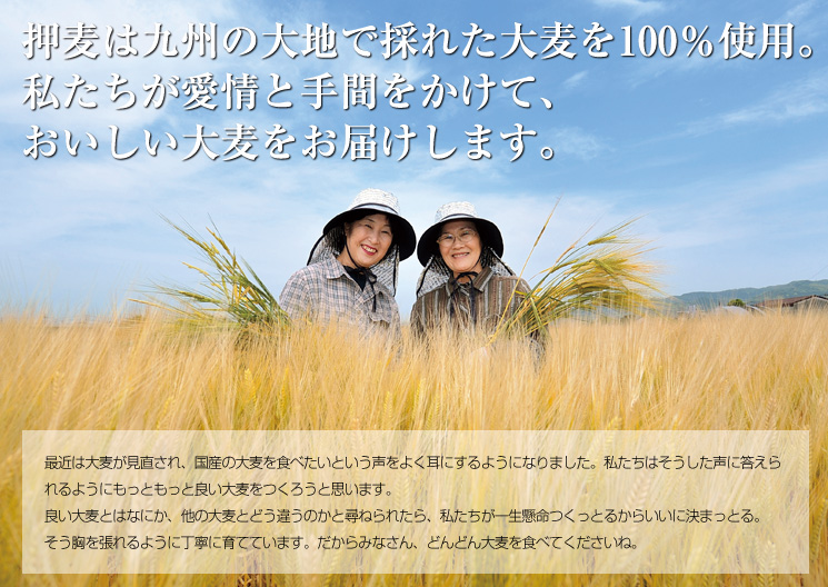 押麦は九州の大地で採れた大麦を100％使用。
私たちが愛情と手間をかけて、おいしい大麦をお届けします。