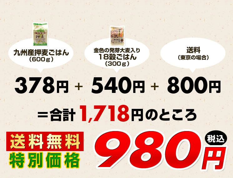 合計1,718円のところ、【送料無料・特別価格】980円