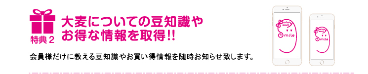 特典２ 大麦についての豆知識やお得な情報を取得!!