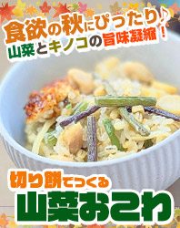 2025年9月レシピ